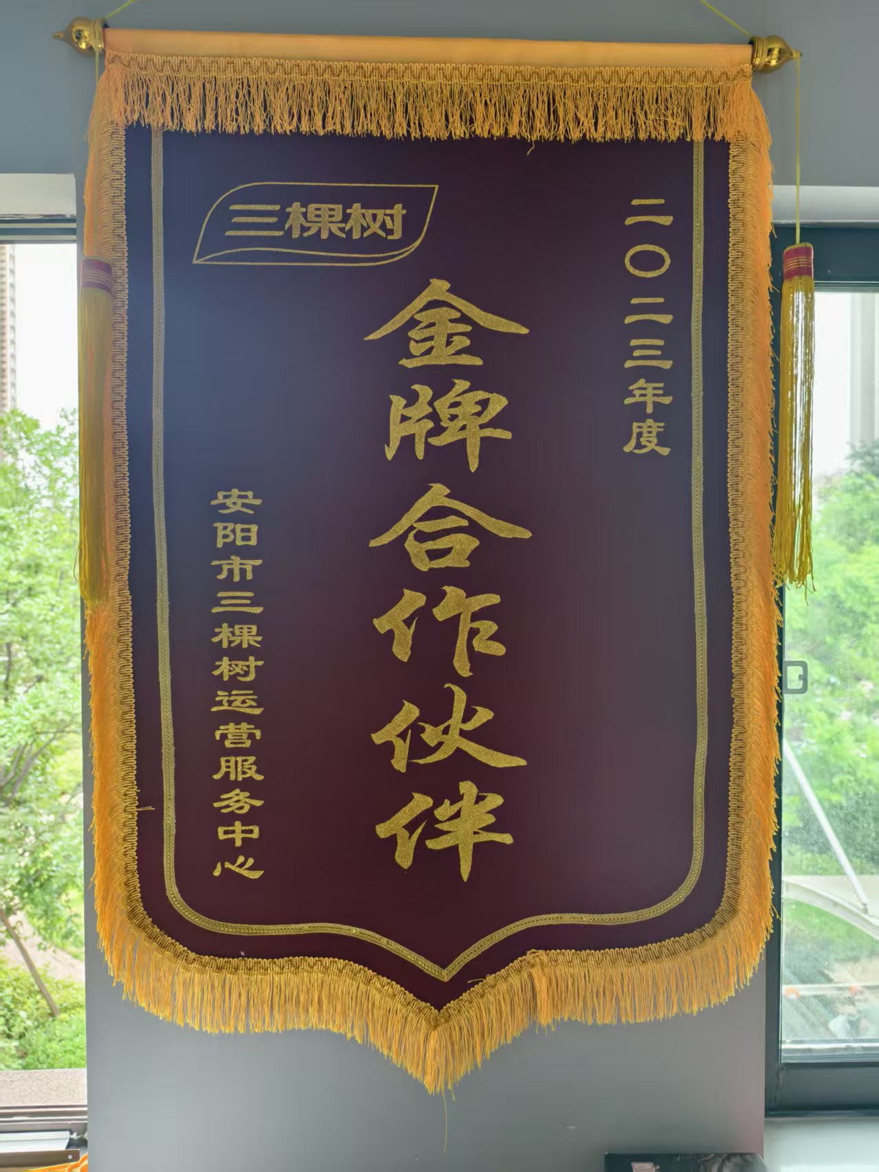 公司荣誉